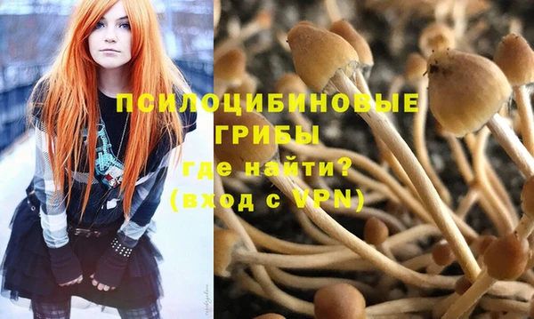 экстази Карпинск