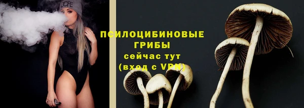 экстази Карпинск